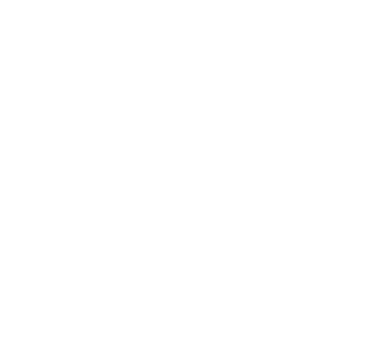 white home icon